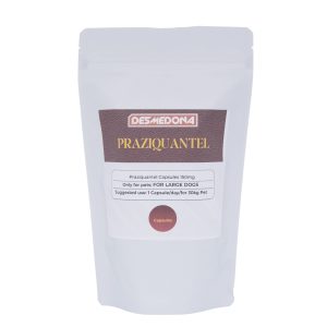 Praziquantel 150mg Capsules – For Large Dogs and Cats(30kg / 65 lbs)