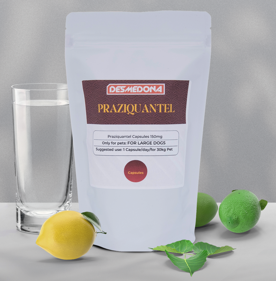 Praziquantel 150mg Capsules – For Large Dogs and Cats(30kg / 65 lbs) - Image 3